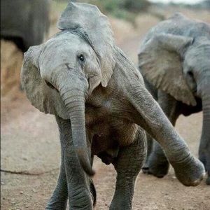 Meet your Posher, Ashlee